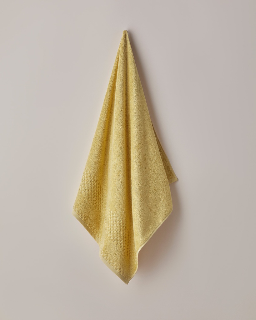 Border Check Bath Towel Basic Alt Segment