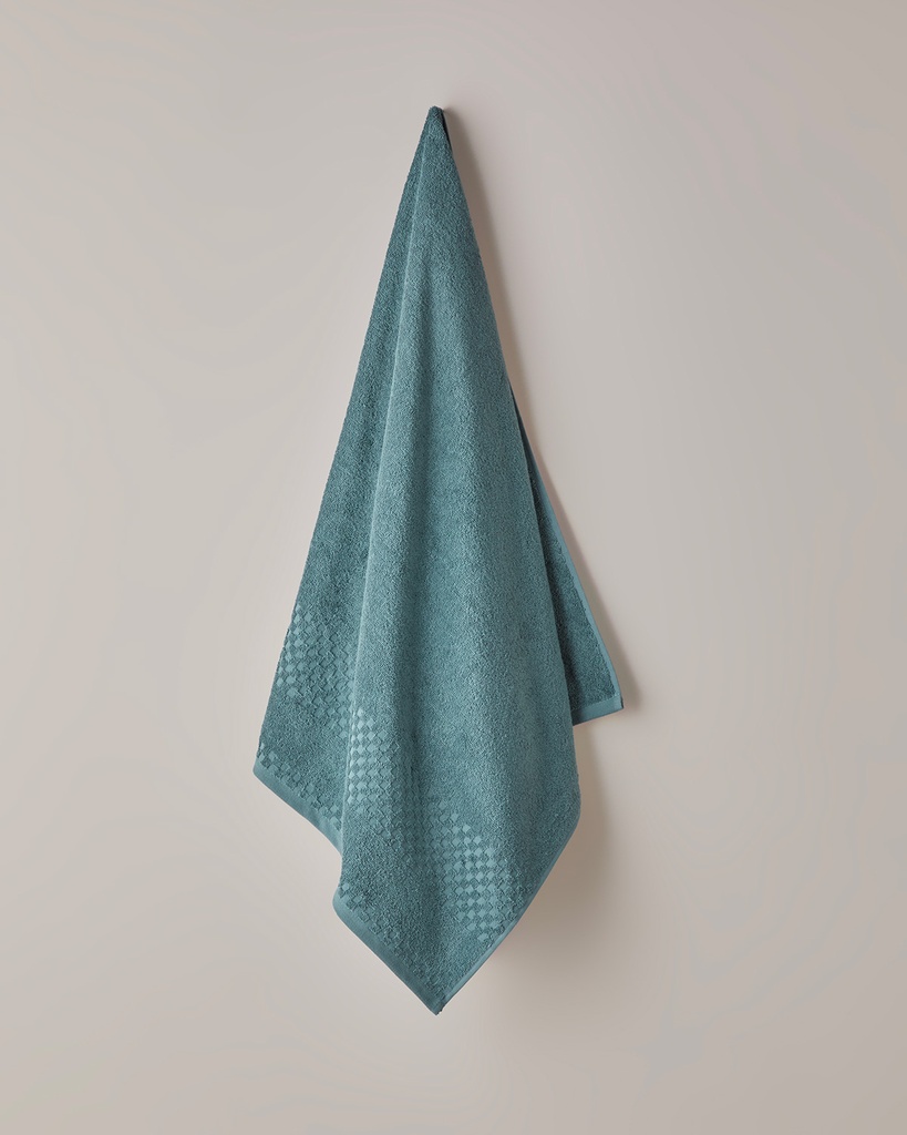 Border Check Bath Towel Basic Alt Segment