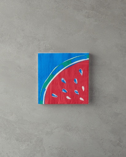 [10042969001] Melon Napkin Timeless
