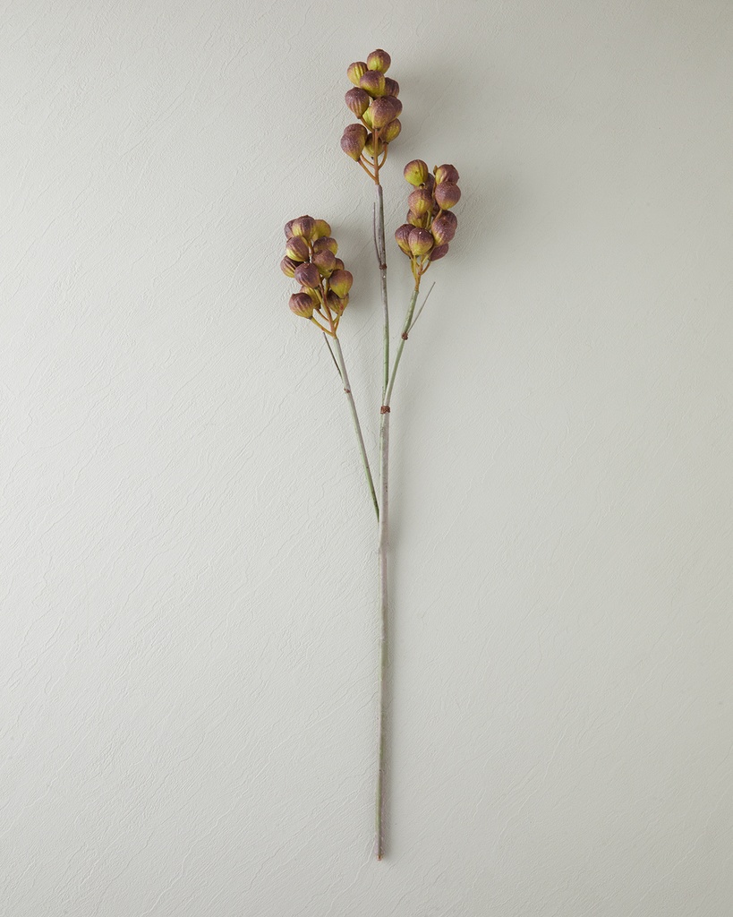 Fig branch Single Branch Artifi Basic