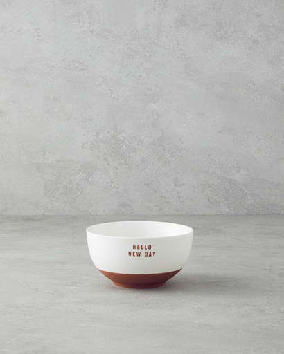 [10044695001] Hello New Day Bowl Basic Alt Segment